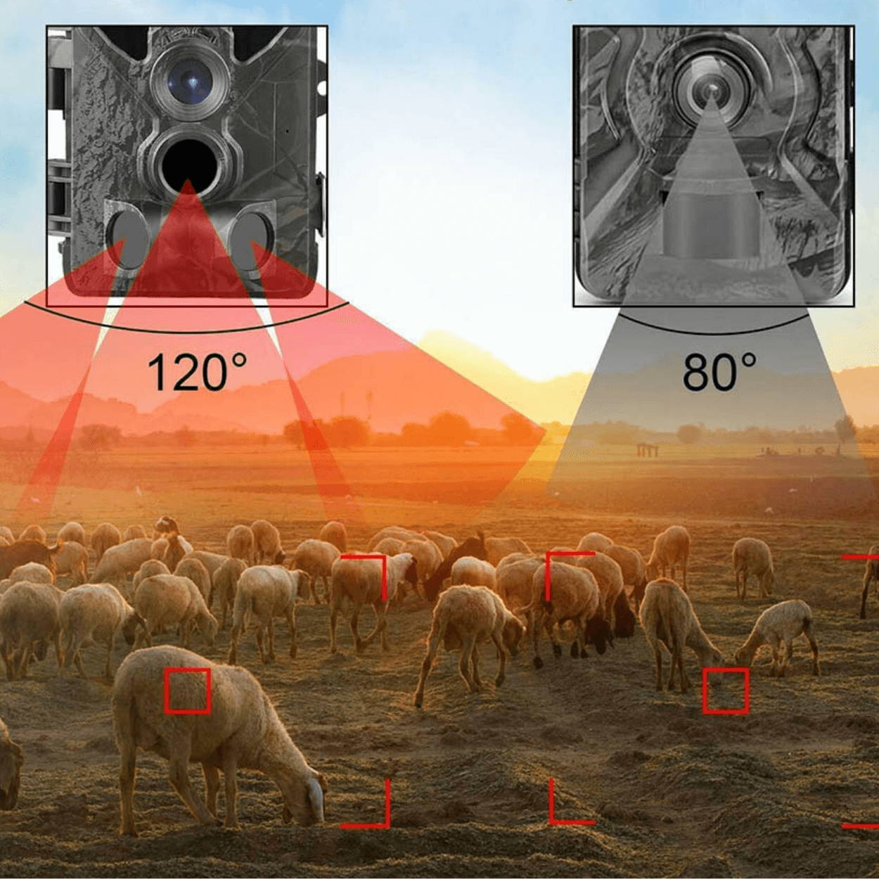 6 VISIONNER TRAIL CAMERA.png__PID:6a526f4c-29b7-4dc8-b6e1-3f637b37ef50